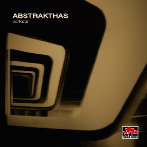 pn146 Abstrakthas